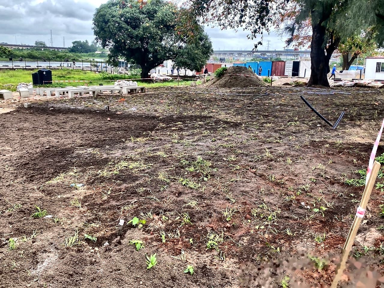 National Theatre grounds before landscaping work, Lagos