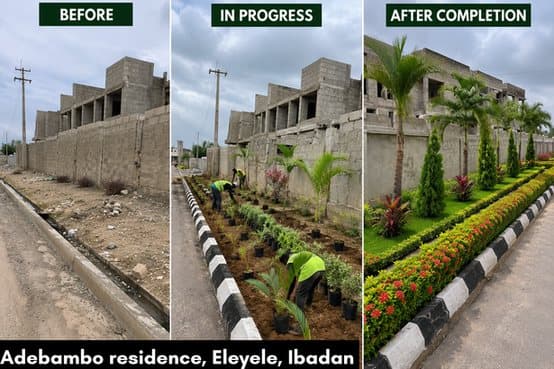 Adebambo Residence planting installation, Eleyele, Ibadan